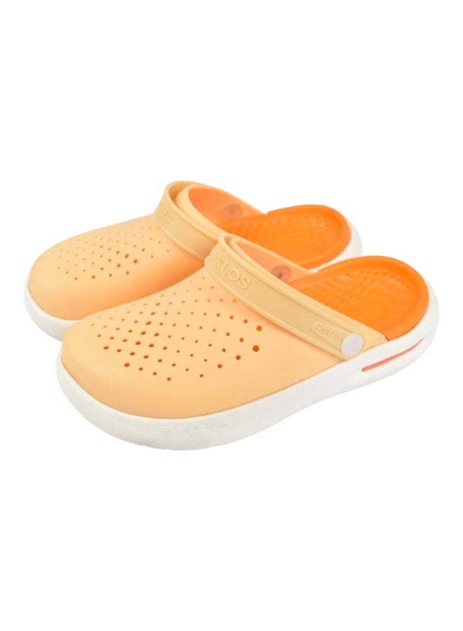 Comfortable women's orthopedic clogs, suitable for everyday wear, available in unique colors.